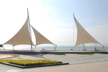 食育教育的内容是什么-