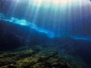 中国现代著名的医学家