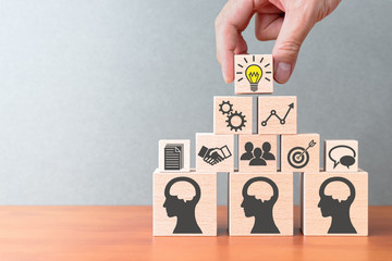 粉掌叶子发黄怎么办