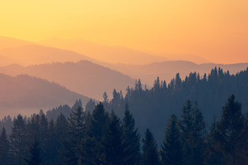 3个科学家的资料(随便3个)