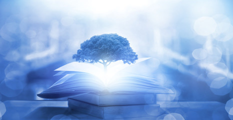 心理健康手抄报内容