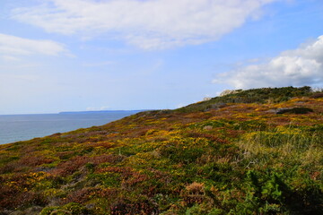 食育教育的内容是什么-
