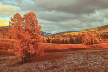 我国的礼仪主要有八礼四仪。