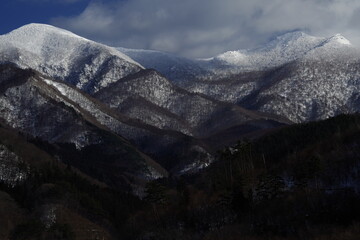 食育教育的内容是什么-