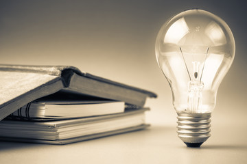 太阳花的寓意和花语